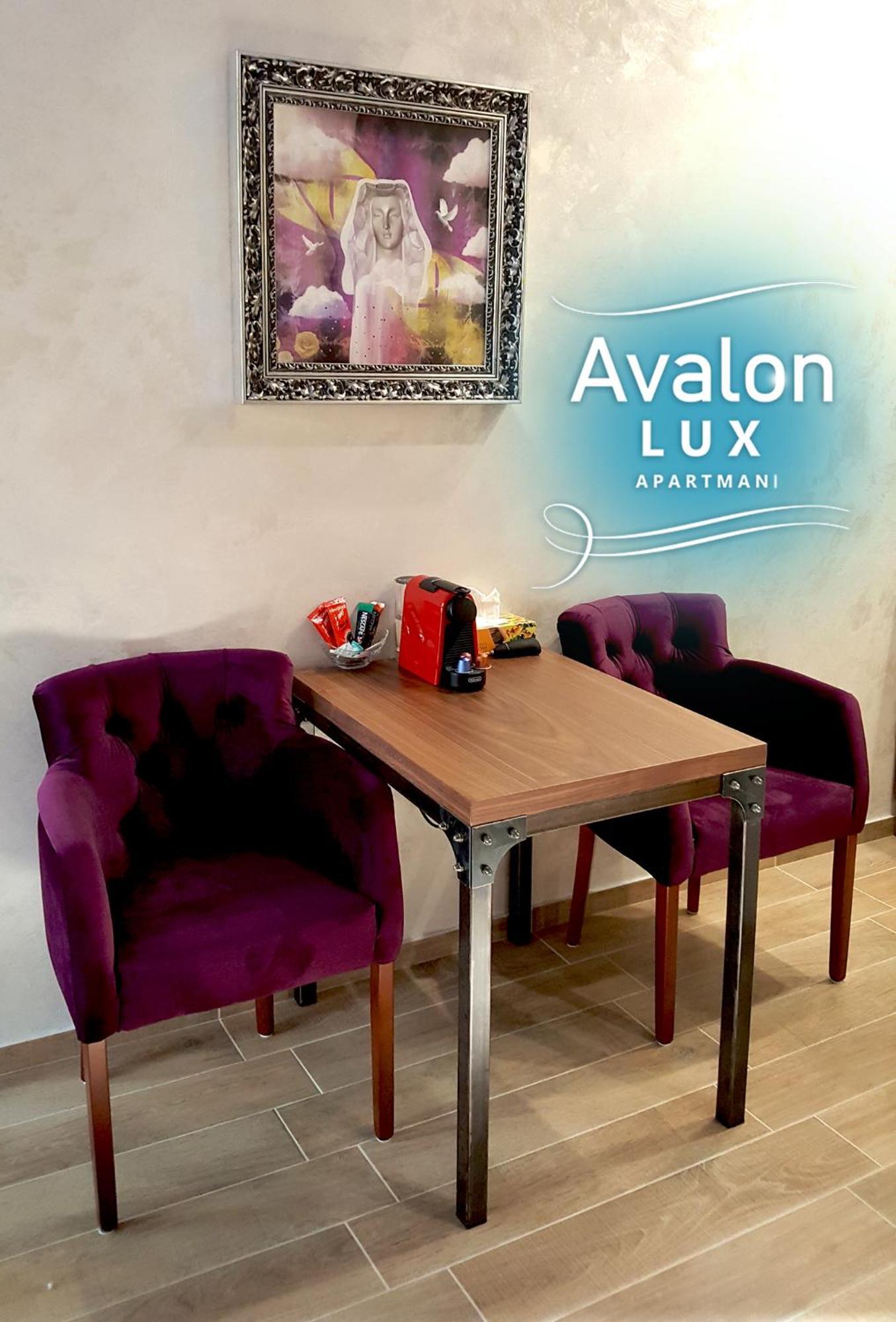 נובי סאד Avalon Lux Studio Apartment מראה חיצוני תמונה