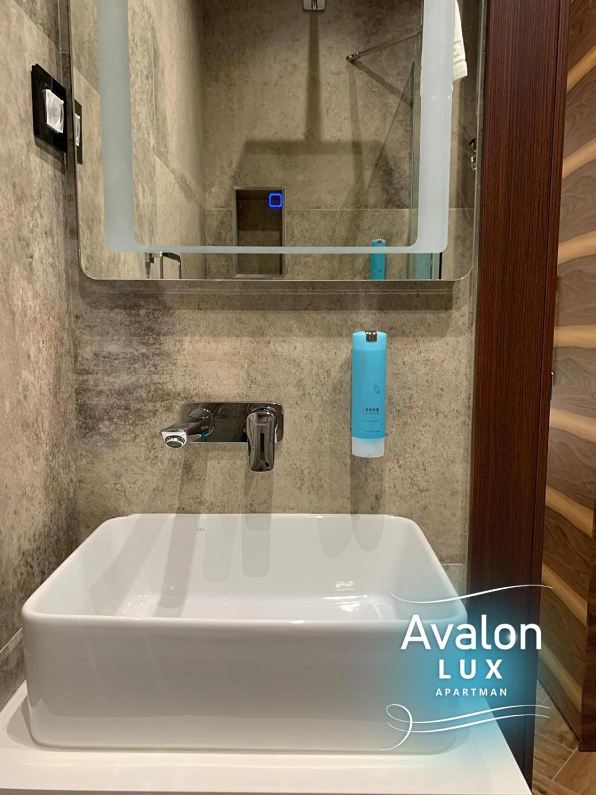 נובי סאד Avalon Lux Studio Apartment מראה חיצוני תמונה